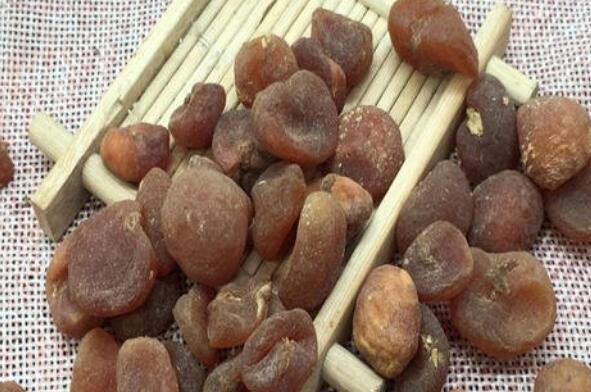 土贝母的食用方法 土贝母能泡水喝吗