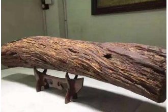 土沉香的功效与作用 土沉香有毒没
