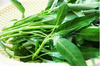 通心菜的功效与作用 通心菜的副作用