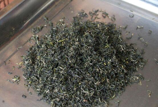 碎铜茶的功效与作用 碎铜茶有什么危害