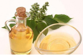 紫苏油的功效与作用 紫苏油的副作用与禁忌