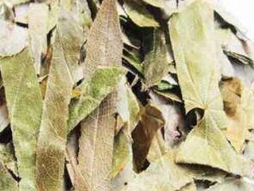 东风桔的功效与作用及药用价值