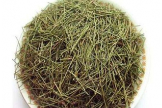 松针的功效与作用 松针长期服用的危害