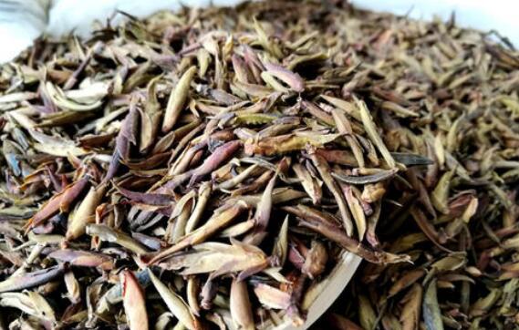芽孢茶的功效与作用 芽孢茶属于什么茶