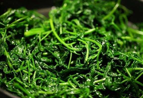 野生白花菜怎么吃 野生白花菜的做法教程