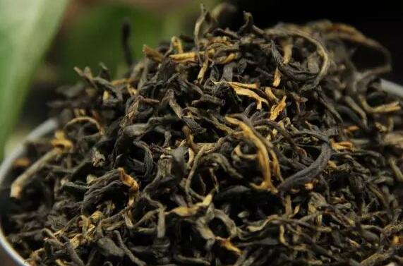 冰岛古茶树的冲泡方法