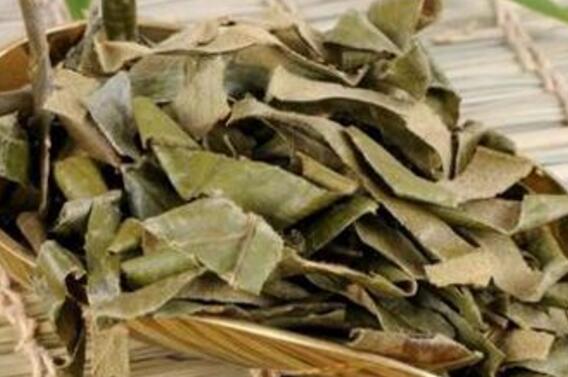 枇杷茶的功效与作用及禁忌