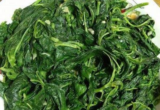 帝王菜的功效和作用