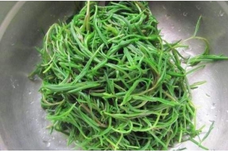 碱蓬和盐地碱蓬的区别 碱蓬的食用方法