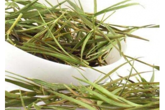 竹叶茶怎么泡最好喝 竹叶茶的正确泡法
