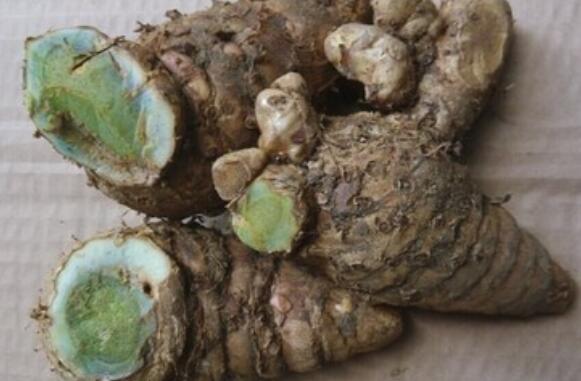 乌姜的作用与功效 乌姜的食用方法