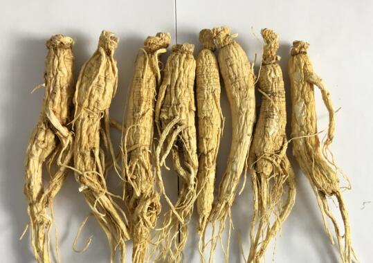 白参怎样制作成红参 白参蒸多久成红参