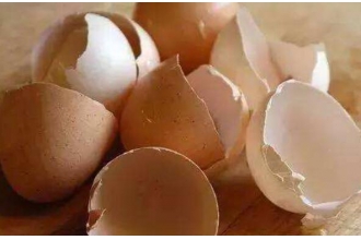 鸡蛋壳怎样去水垢 鸡蛋壳去水垢的原理