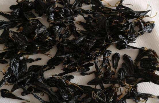 蛇胆茶的功效与作用