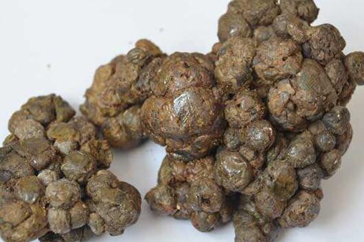 原始蜂胶怎样食用方法
