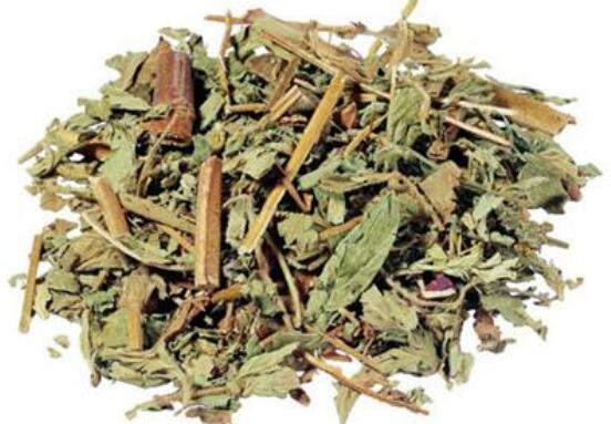 仙鹤草的功效与作用及禁忌