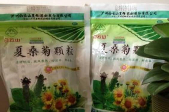中药夏桑菊的功效与作用