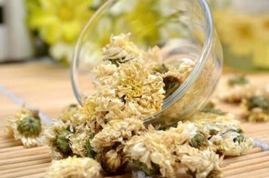贡菊的作用与功效
