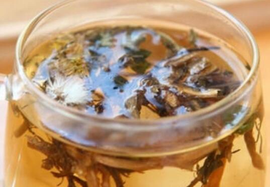 蒲公英泡水喝的功效作用