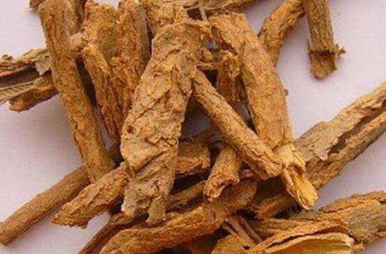 枸杞根的功效与作用及禁忌