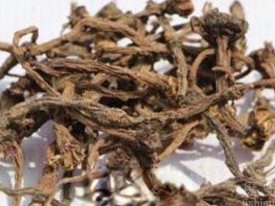 婆婆丁晒干泡水的功效与作用 婆婆丁晒干泡水禁忌