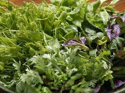 簿公英加甘草泡水喝功效