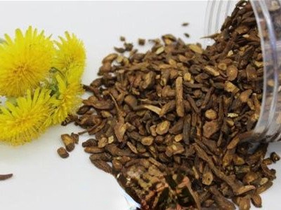 蒲公英根茶的炒制方法