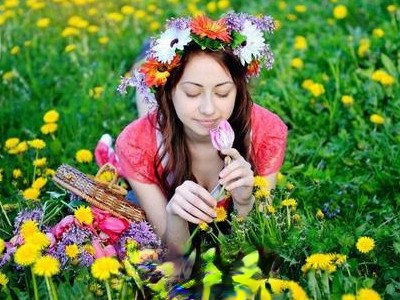 蒲公英打粉怎么吃最好