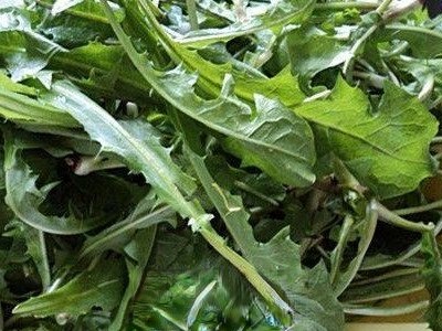 蒲公英煎水喝有什么功效