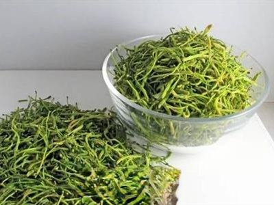 蒲公英和普洱的功效与作用