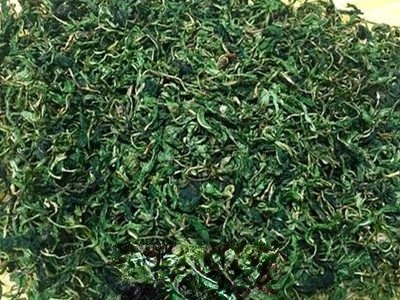 蒲公英治雀斑有效吗