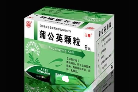 蒲公英颗粒