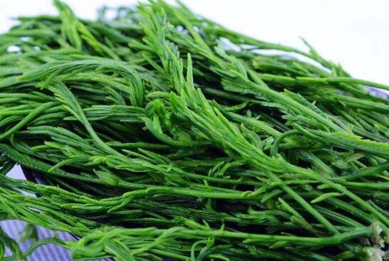 臭菜凉拌怎么做好吃窍门