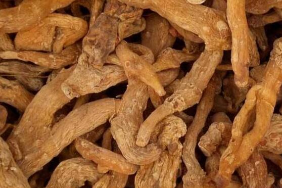 哪些人不宜吃黄精 吃黄精的禁忌