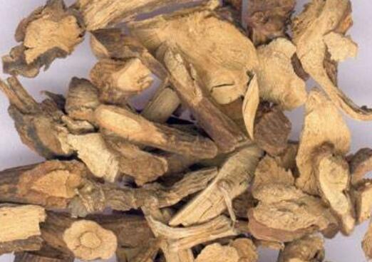北豆根的功效与作用 北豆根有什么副作用