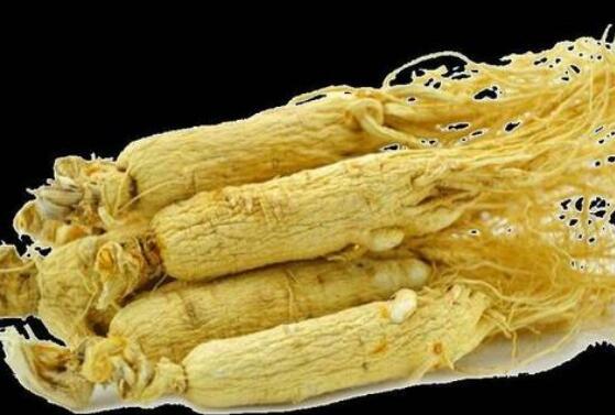 生山参的功效与作用 生山参的食用方法