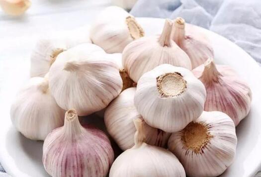 大蒜头的功效与作用