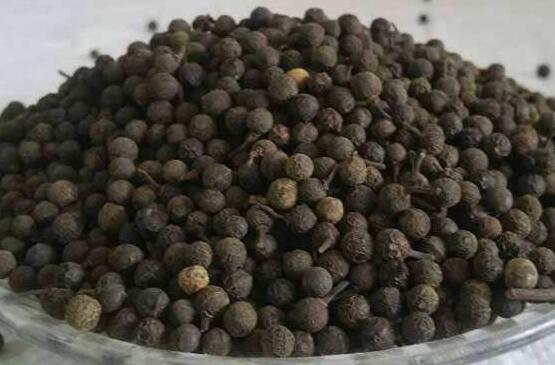 荜澄茄的功效与作用 荜澄茄的副作用