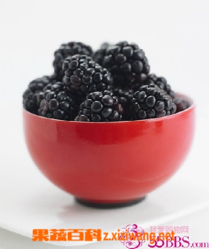 ���߰ٿ�