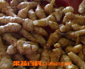 ���߰ٿ��󽪵�Ӫ����ֵ