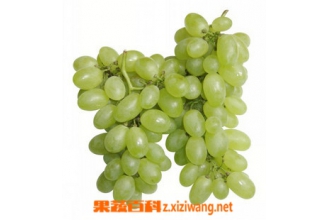 �����ӵ�Ӫ����ֵ