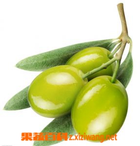 ���߰ٿ����