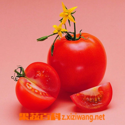 ���߰ٿƺ�����������ֲ¶�췬�ѵ���