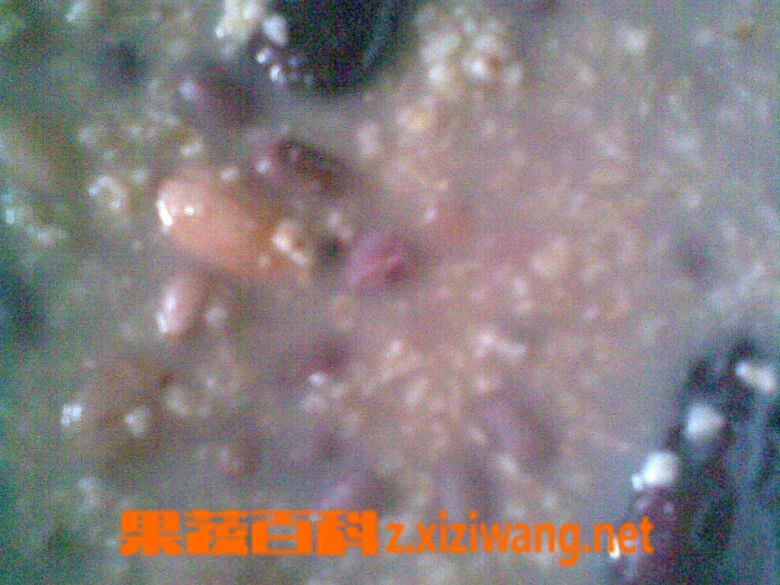 ���߰ٿƺ춹޲��������