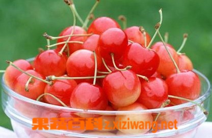 ���߰ٿ�ӣ�ҵ�Ӫ���͹�Ч