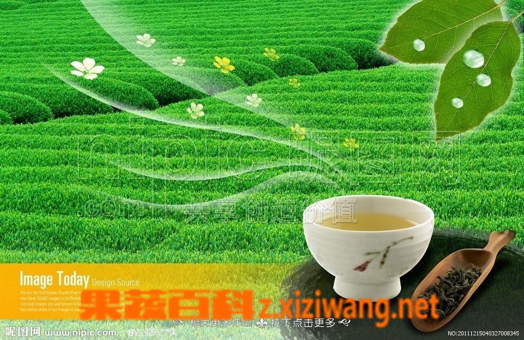 ���߰ٿƳ��ں��̲���û�л���