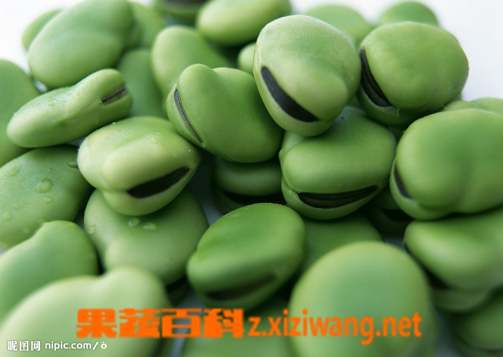 ���߰ٿ���϶��ķ���