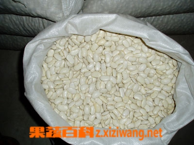 ���߰ٿư�ܿ��Ӫ����ֵ