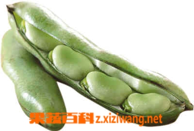 ���߰ٿƲ϶��䶳����