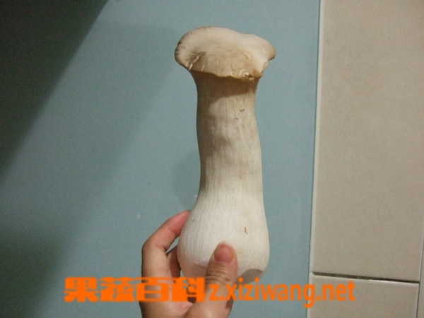 ���߰ٿ��ӱ�������⿷�